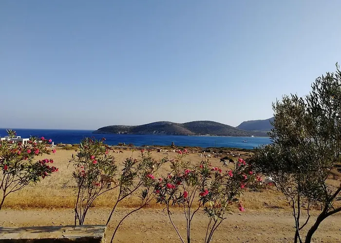 Gio St Gio 1 St.giorgio